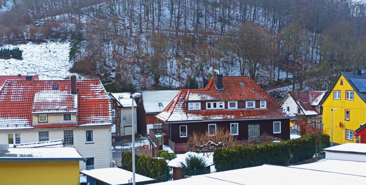 Arode Huette Harzilein - Romantic Tiny House On The Edge Of The Forest Zorge Exterior foto